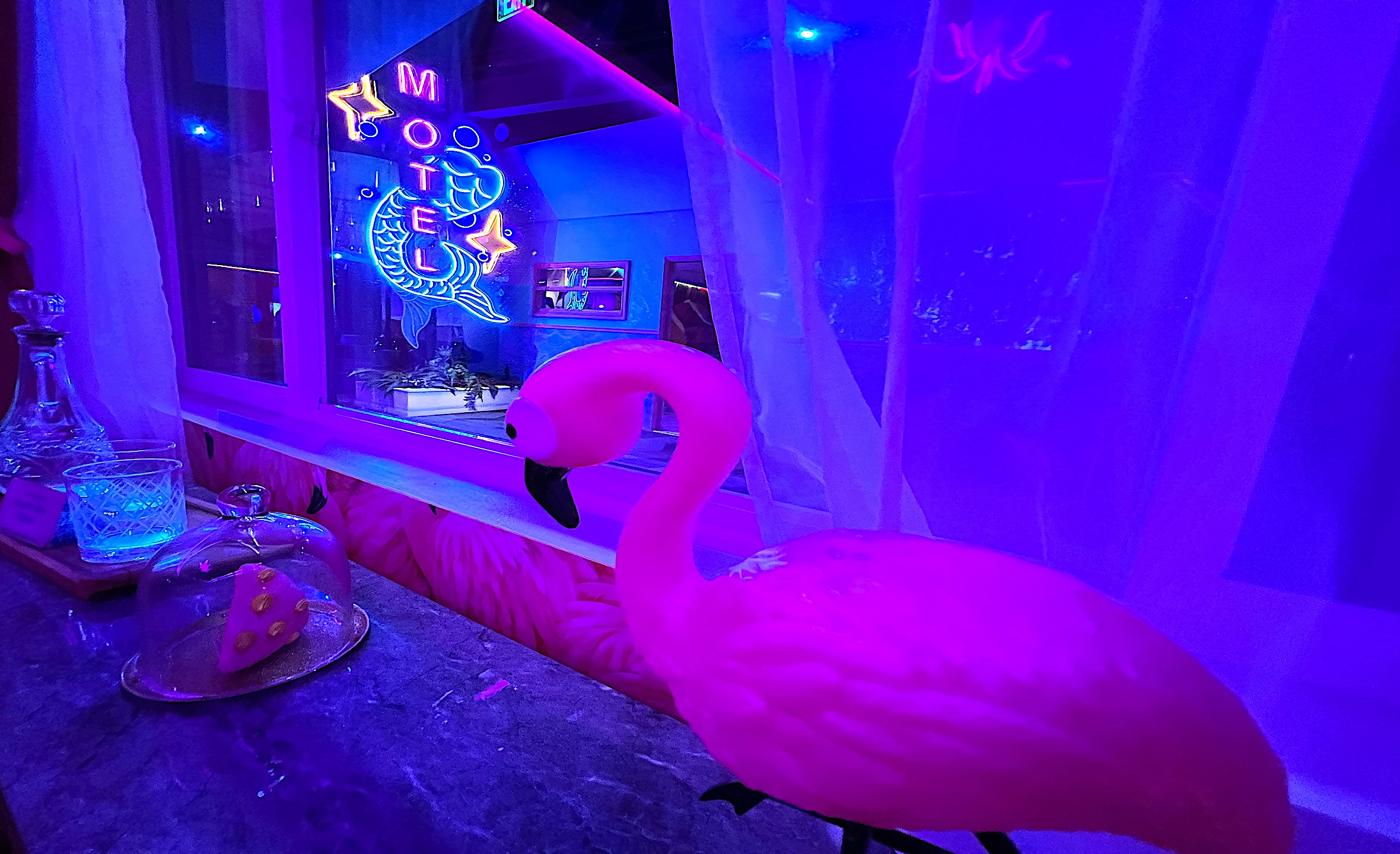 Weird, Tacky Florida On Display– And It’s So Much Fun!