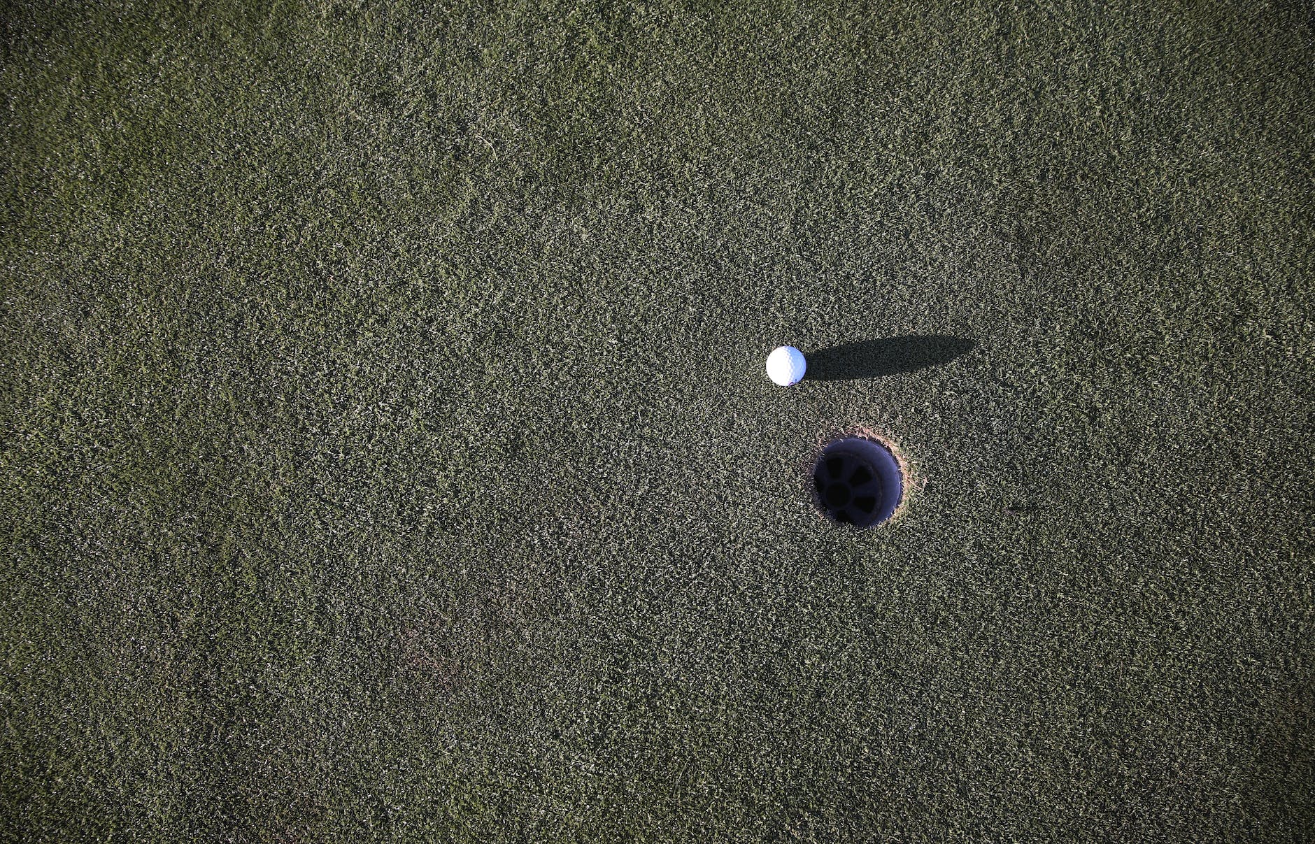 white round medication pill on green grass field