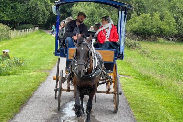 Journey Through Ireland’s Emerald Fields, The Classic Way!