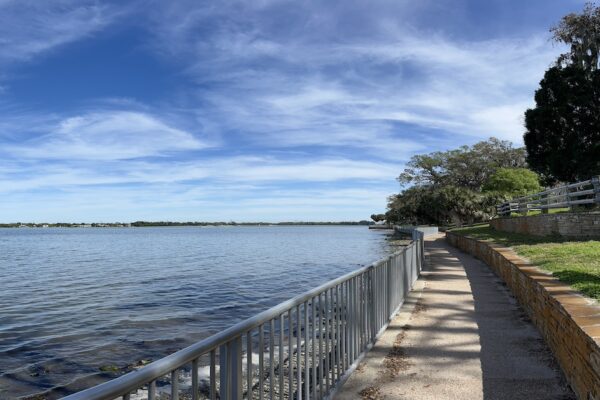A Pleasant Walk In The Park On A Lovely Spring Day