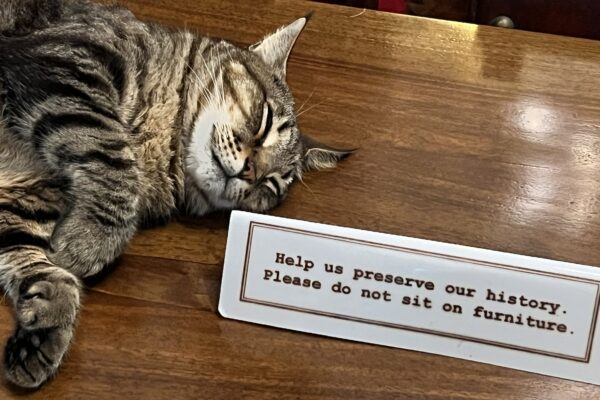 There Are Exceptions To Breaking The Rules At This Popular Tourist Attraction