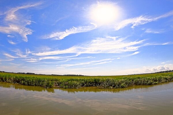 Epic Inspiration: South Carolina’s Lowcountry Is A Natural Wonderland
