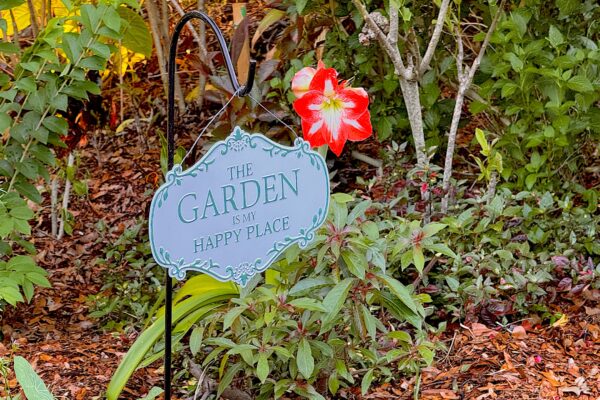 Showers To Flowers: Welcome May!
